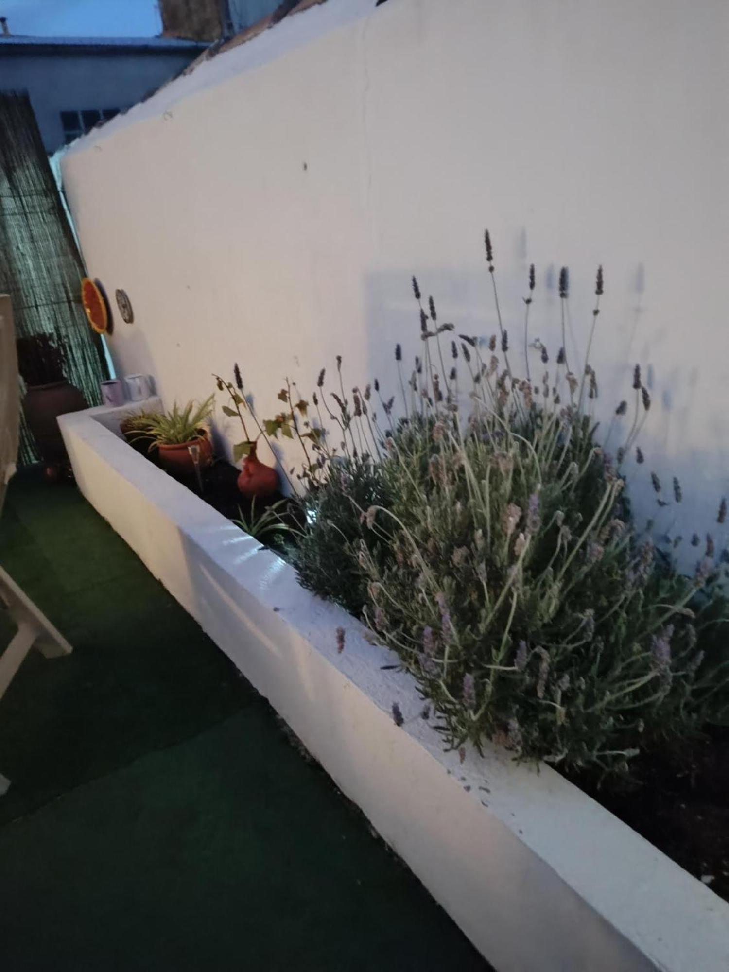 Casa Rural Alegria Caudete de las Fuentes エクステリア 写真
